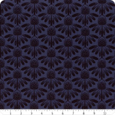 AMT Coneflower - Night